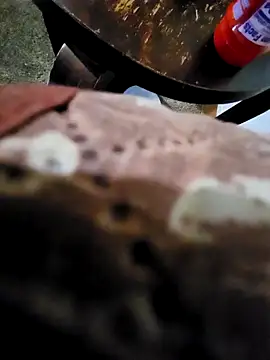 pajarol5co online show from 01.26.25