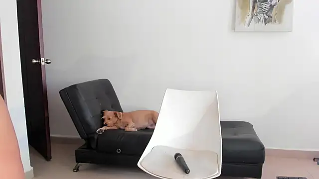 selene king2 online show from 12.10.24