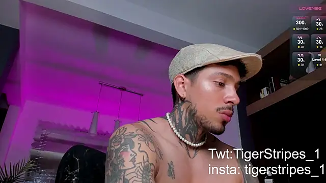 Snapshot of TigerStripes1_ chatting on 02.09.25 TigerStripes1 online show from 02.09.25