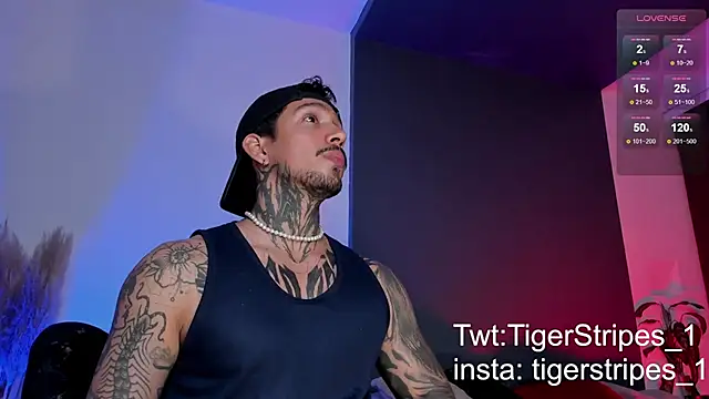 Snapshot of TigerStripes1_ chatting on 03.15.25 TigerStripes1 online show from 03.15.25