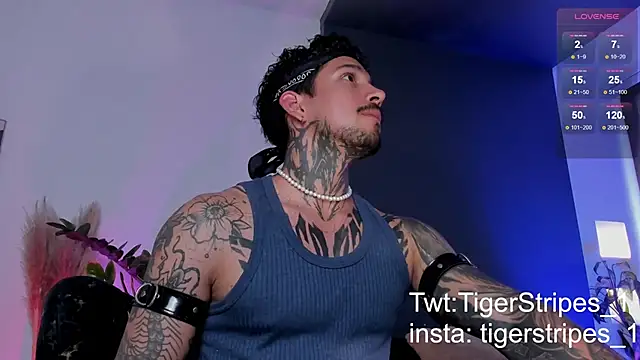 Snapshot of TigerStripes1_ chatting on 03.19.25 TigerStripes1 online show from 03.19.25