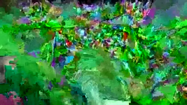 bigdon5169 online show from 05.01.26