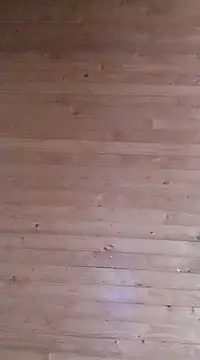 aliosa23 online show from 01.21.25