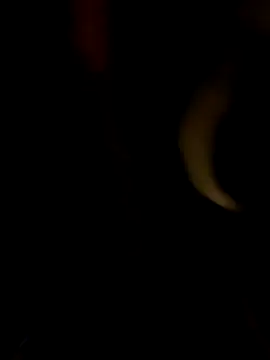 Snapshot of PIercingBoy38 chatting on 10.11.25 PIercingBoy38 online show from 10.11.25