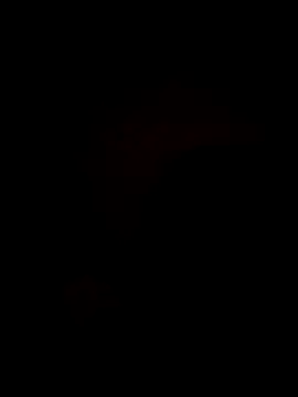 Bella-Tight online show from 10.30.25