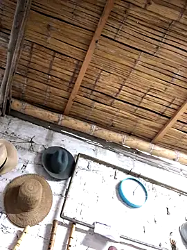 Snapshot of kvr27 chatting on 11.03.25 kvr27 online show from 11.03.25