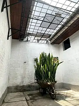 oliver price1 online show from 10.06.25