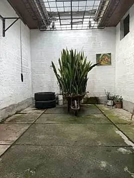 oliver price1 online show from 11.12.25